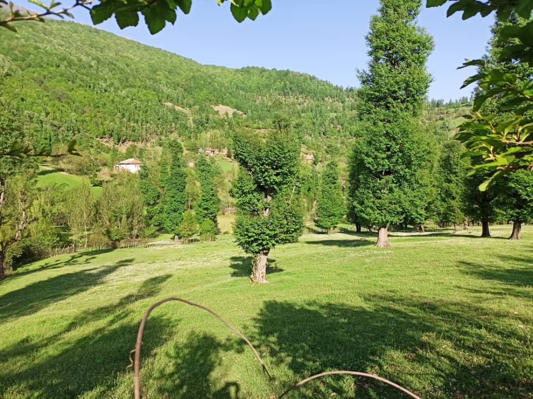 گالری تصاویر