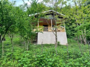 کلبه جنگلی روستای براگور رودبار گیلان؛ مقصدی بکر برای عاشقان طبیعت کد 139