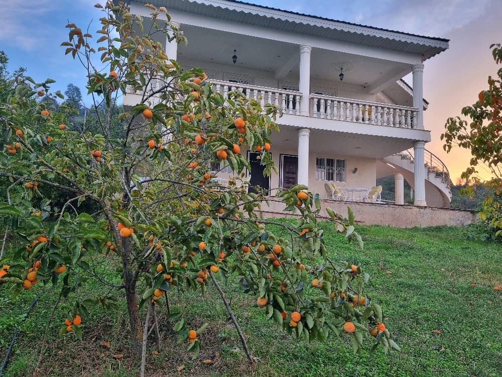 ویلای در دره دشت