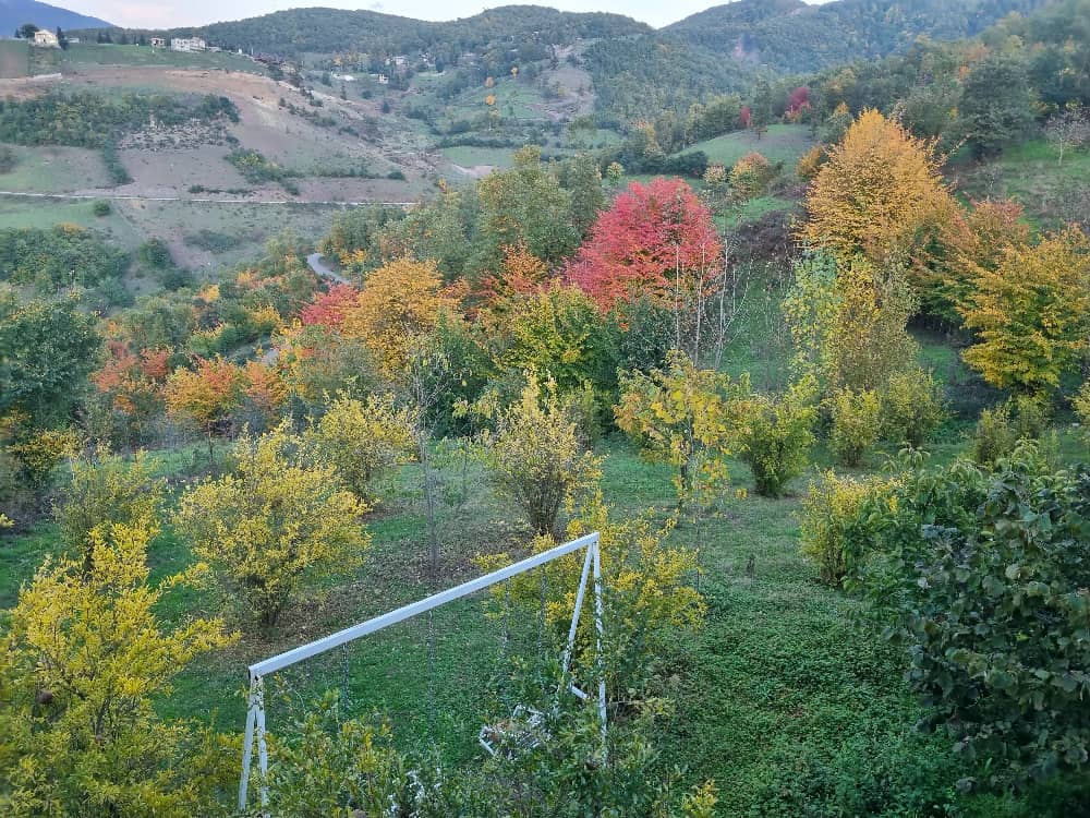 ویلای در دره دشت