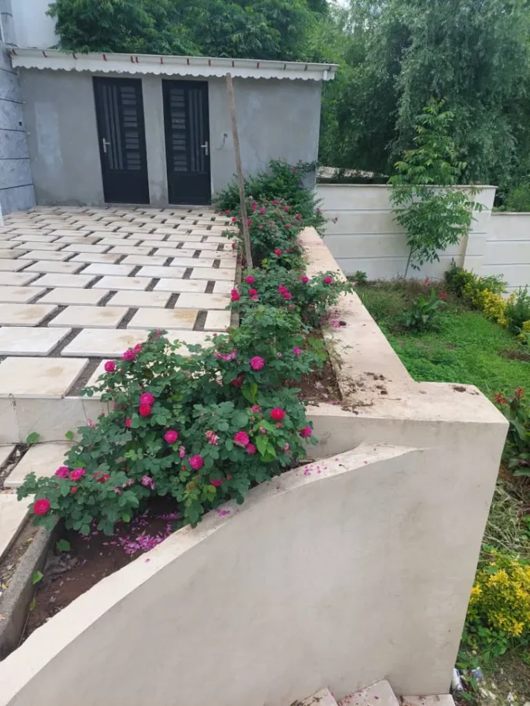 ویلا استخرجان عمارت لوکس