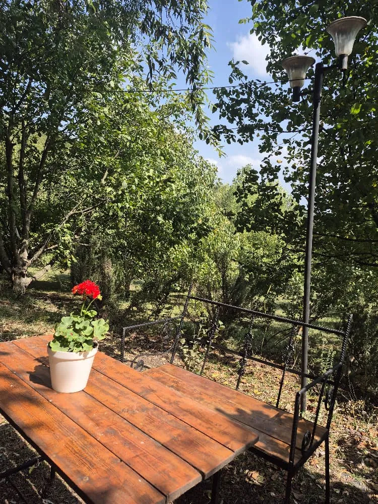 کلبه جنگلی سلانسر