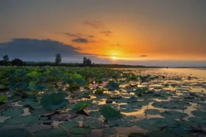 تالاب انزلی در پاییز 