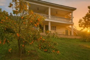 خانه مسافر – ویلا در دره دشت | اقای نجف زاده دره دشت رودبار