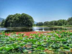 تالاب سوستان