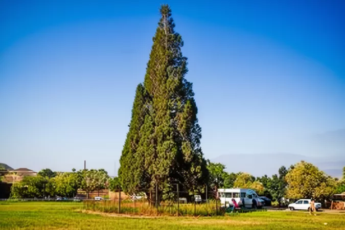 هرزویل کجاست؟ راهنمای کامل سفر به روستای تاریخی