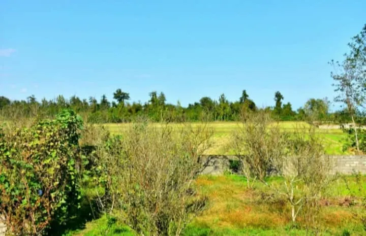 ویلا استخردار در گیسوم