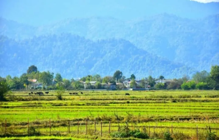 ویلا استخردار در گیسوم