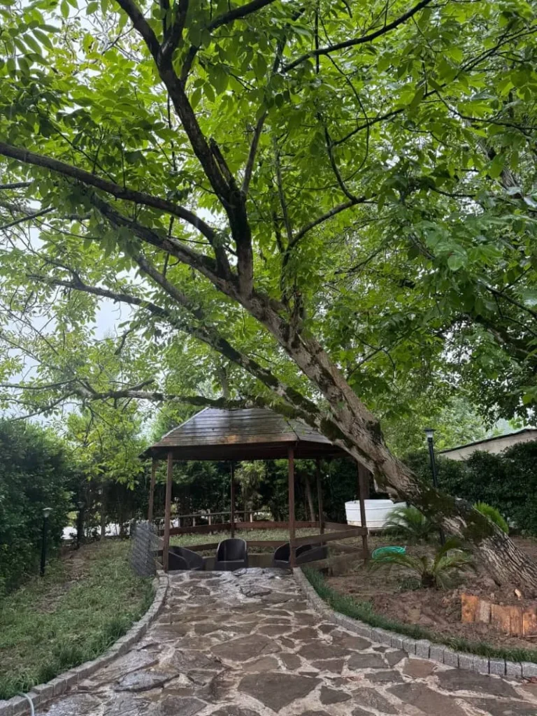 ویلا لاکچری استخر دار سنگر