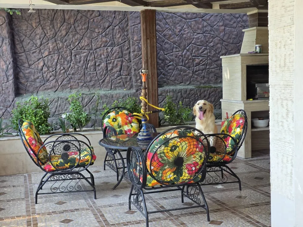 ویلا لوکس تراس دار سنگر