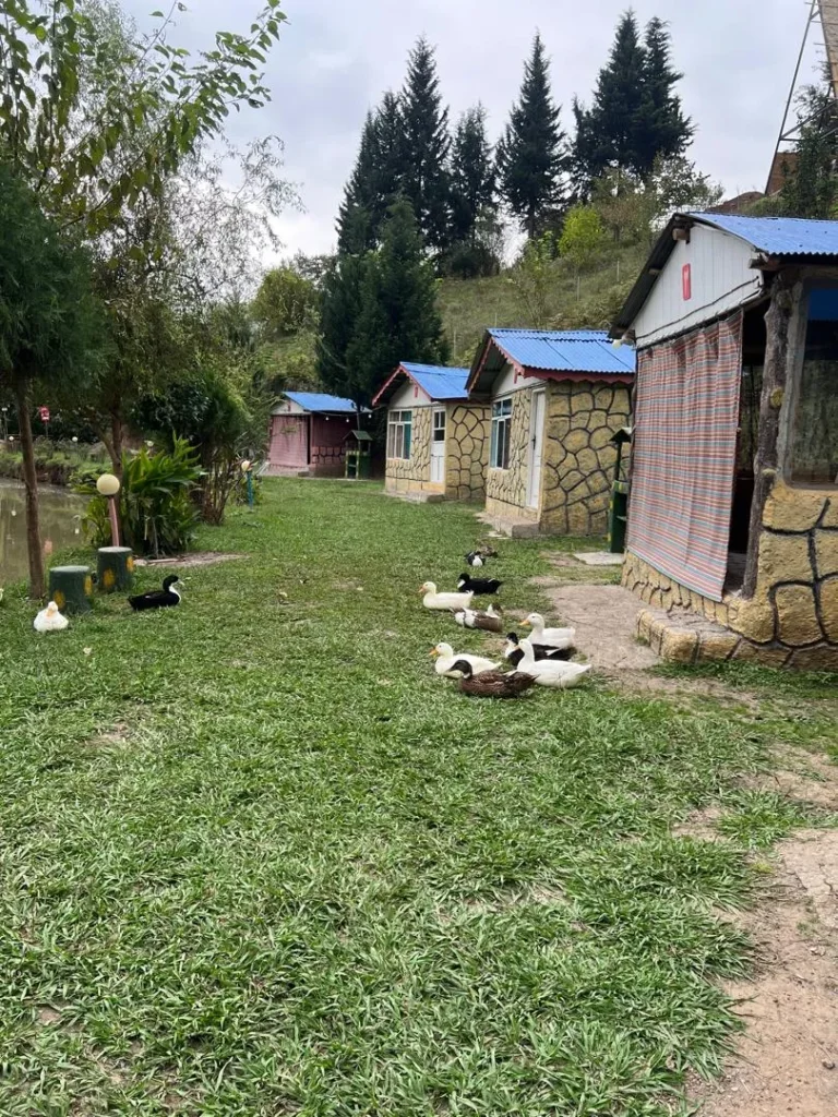 کلبه کنار دریاچه اسطلخ جان