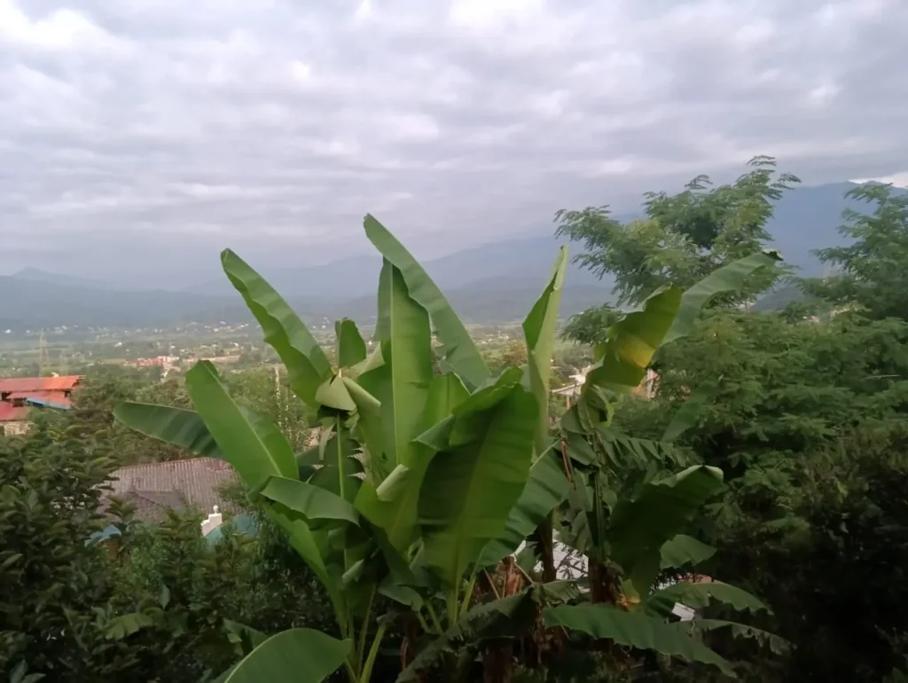 کلبه گلی سنتی سنگر