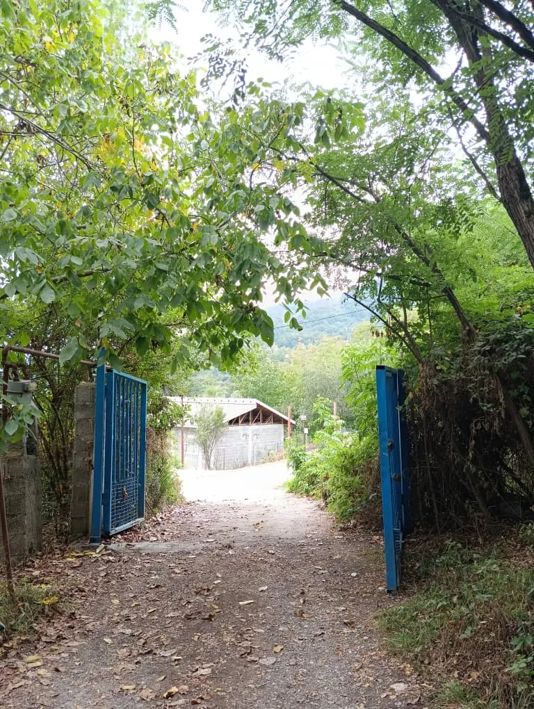 کلبه گلی سنتی سنگر