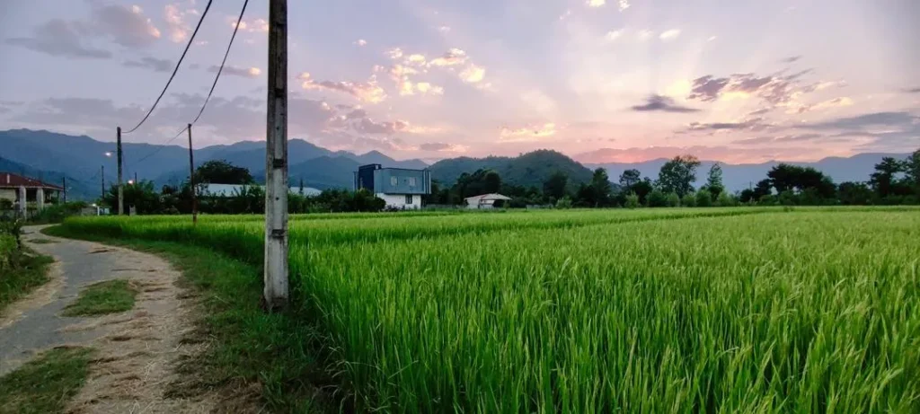 ویلا استخردار رو باز ماسال