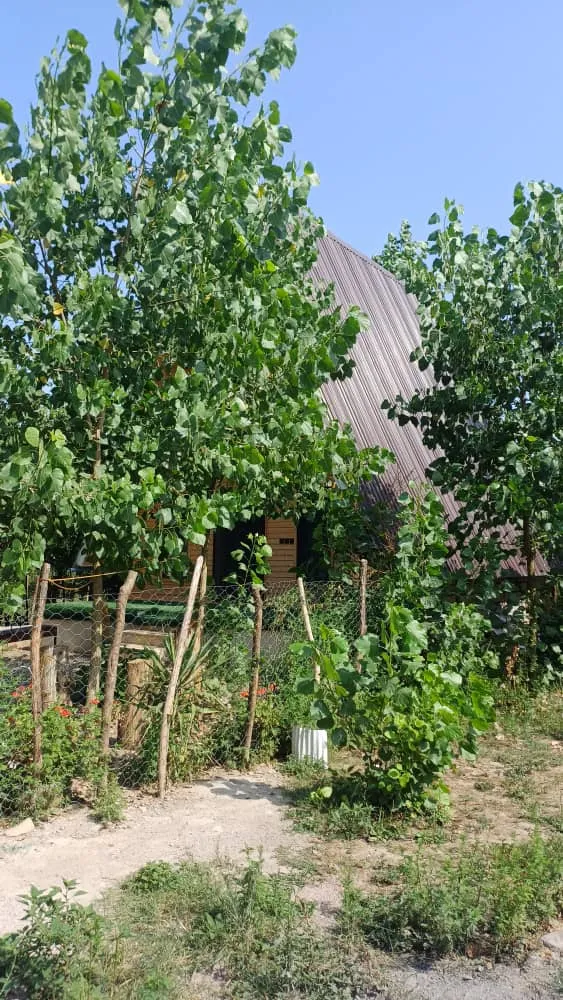 کلبه سویسی در ماسال