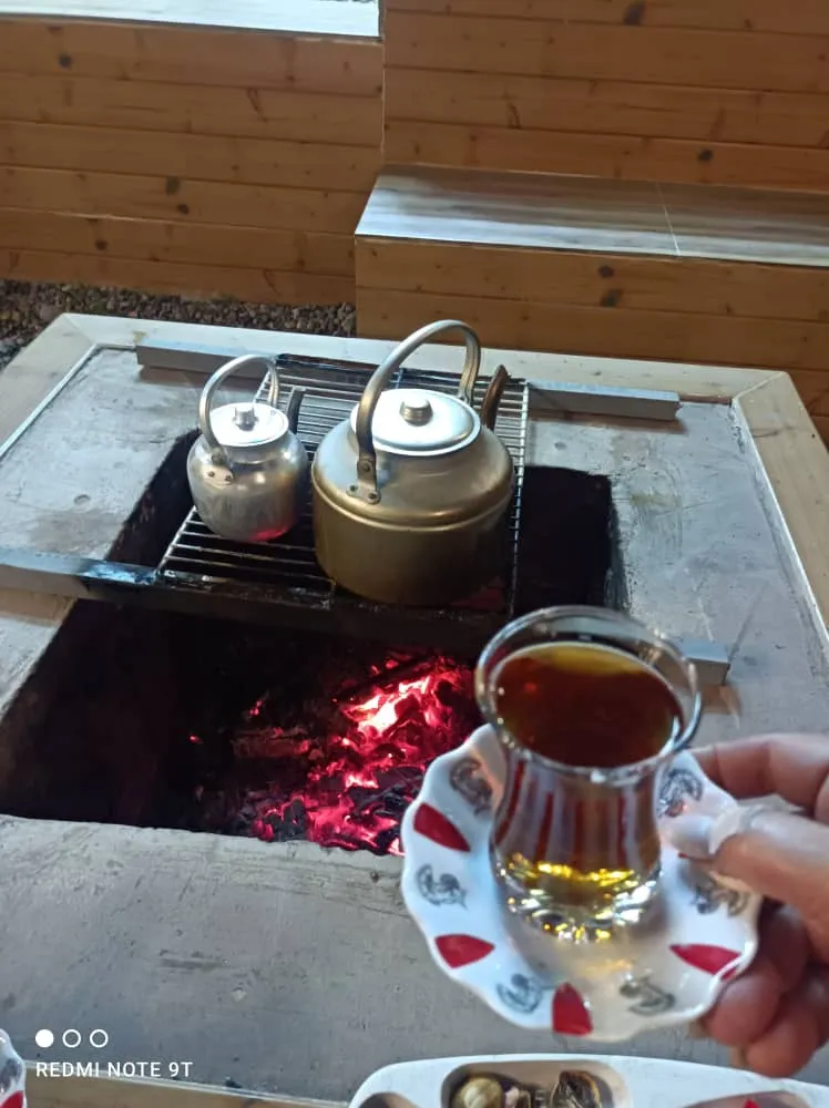 کلبه سویسی موشنگاه