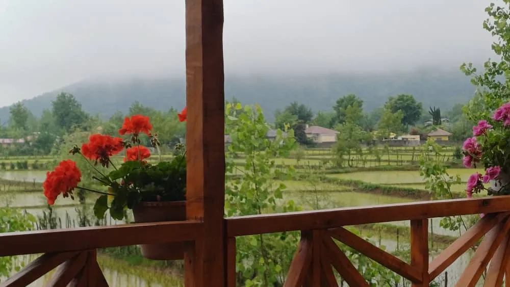 کلبه چوبی تراس دار ماسال