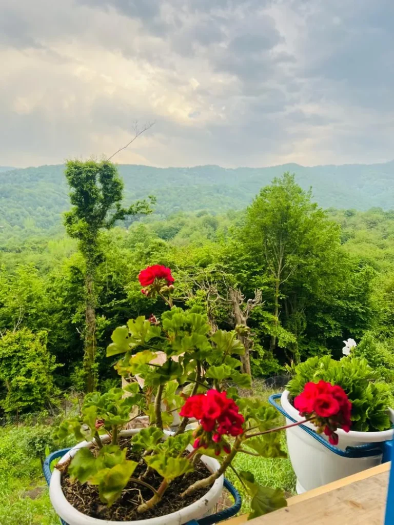 سوییت نقلی در موشنگاه