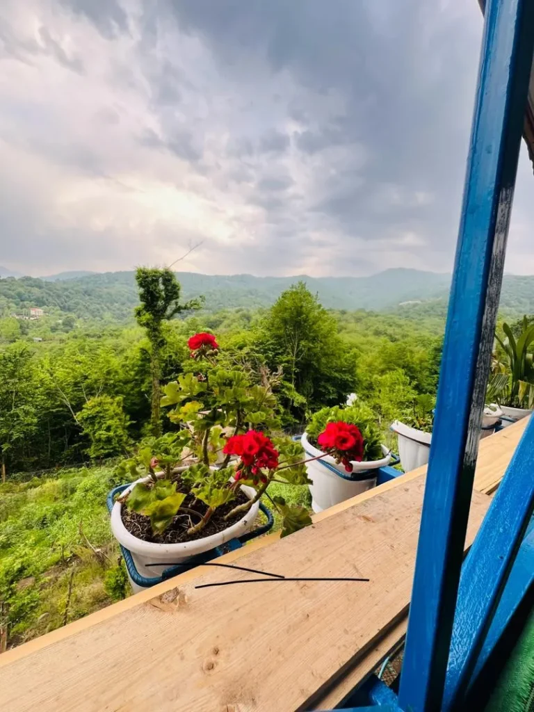 سوییت نقلی در موشنگاه