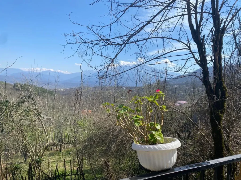 ویلا نقلی در روستای کچا