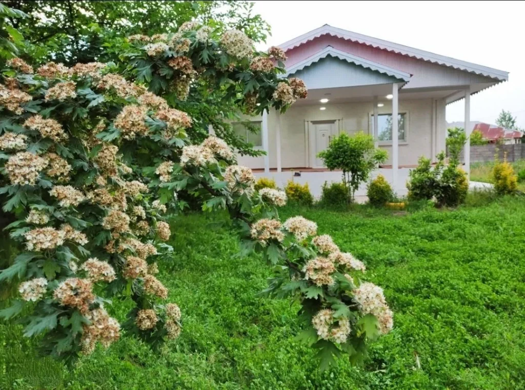 ویلا اقای خورسندی ماسال