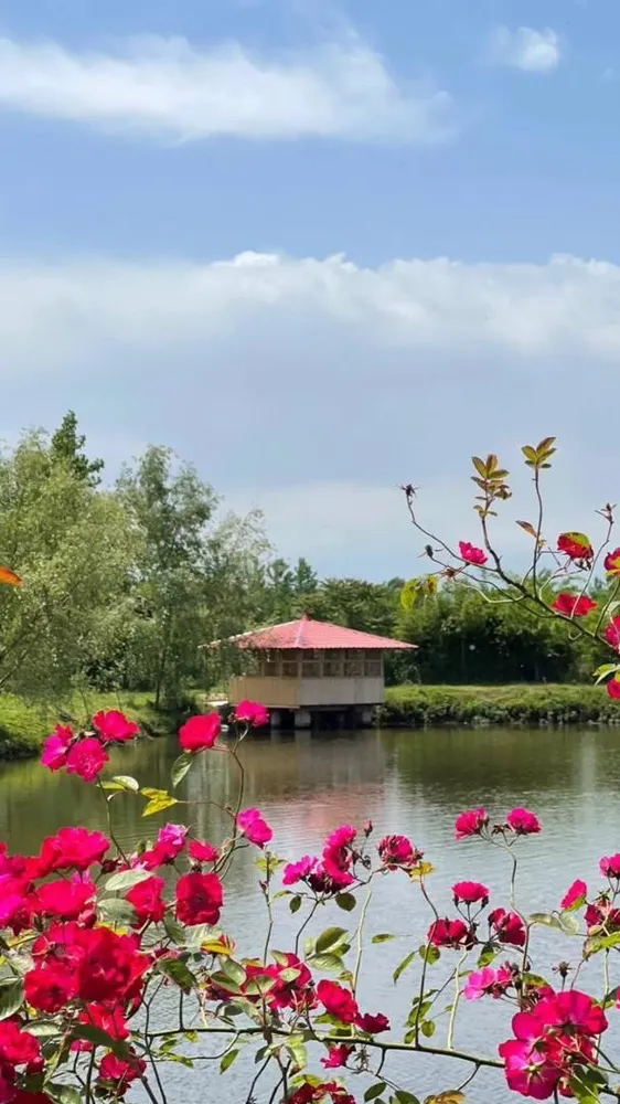 اجاره ویلا چوبی در صومعه سرا