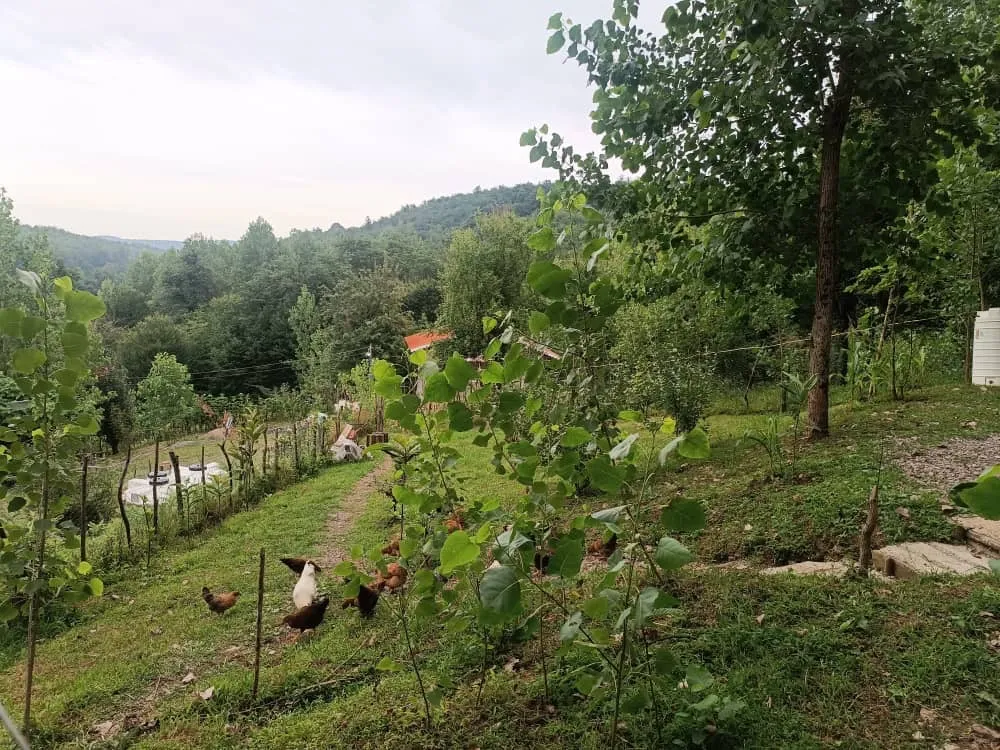 خانه سنتی روستای کچا