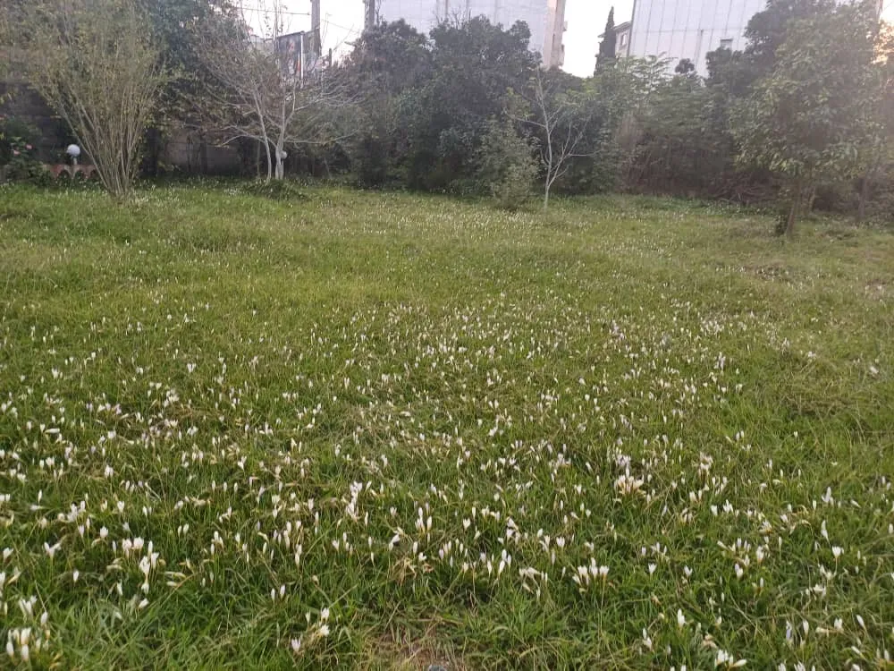 خونه ویلایی ماسال نوزری