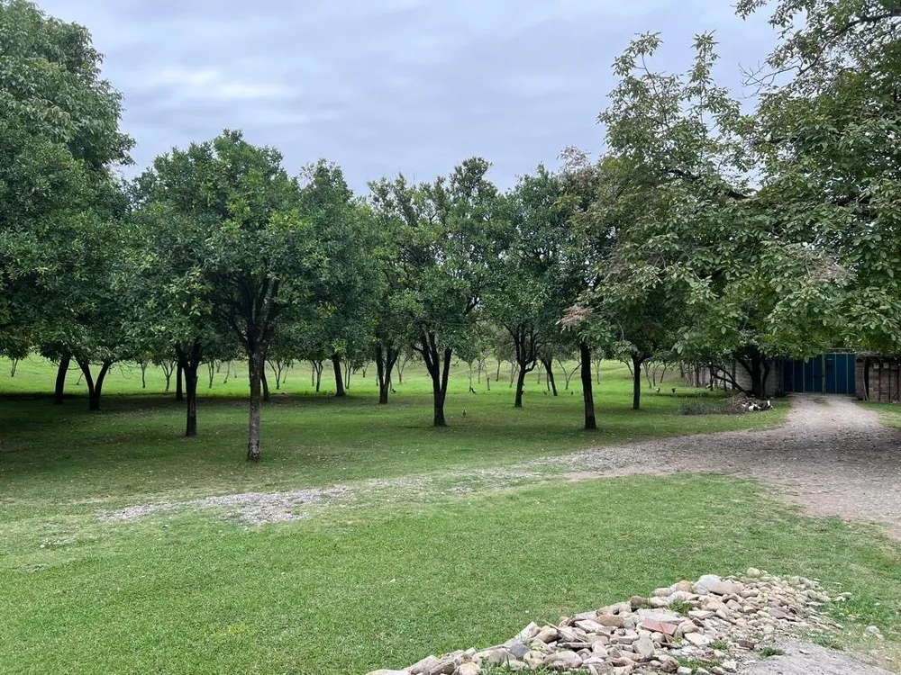 ویلا تراس دار آقای صفوی ماسال
