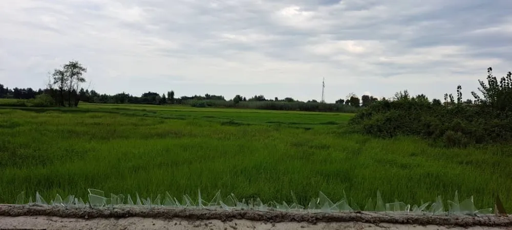 ویلای شیک و نوساز آقای اکبرپور