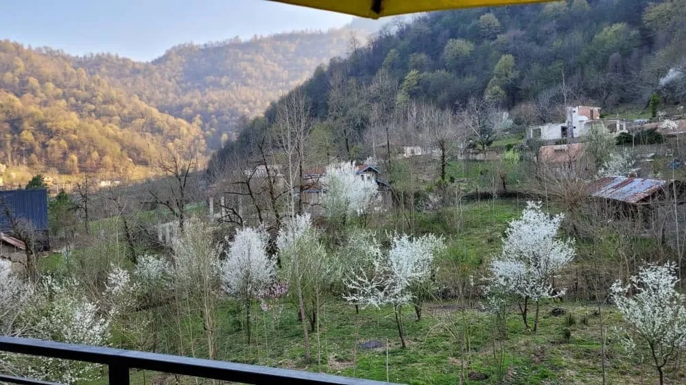 کلبه چوبی دوبلکس آقای ظریفی