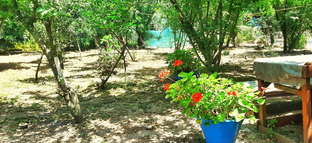 اقامتگاه 95 متری کلبه آبی واحد گیلاکو شاقاجی روستای دهبنه در جاده سنگر خانم واحدی- کد 383