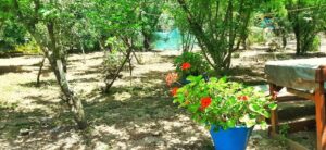 اقامتگاه 95 متری کلبه آبی واحد گیلاکو شاقاجی روستای دهبنه در جاده سنگر خانم واحدی- کد 383