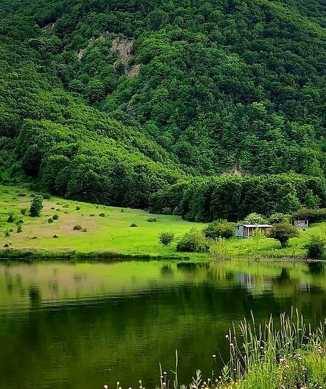 اجاره ویلا و کلبه در رودبار